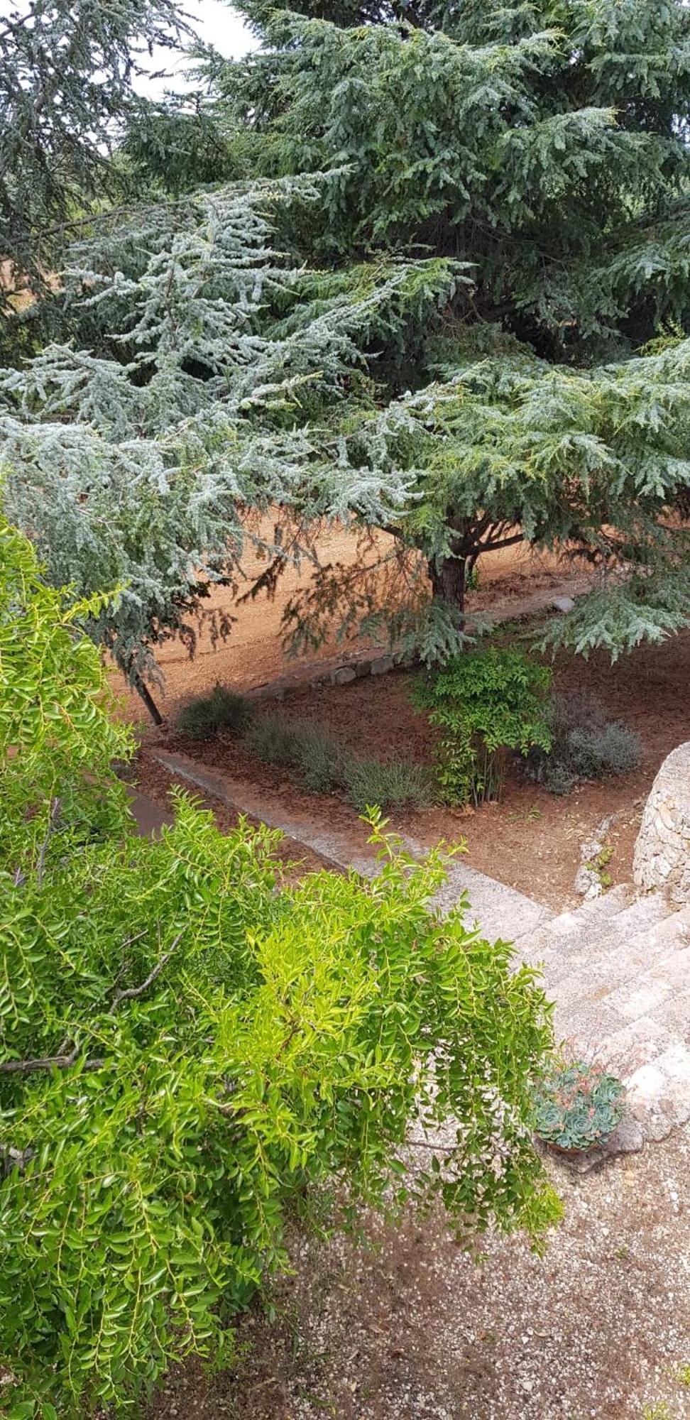 Villa Isabella Ostuni Exteriér fotografie